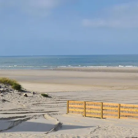 Semesterbostad Lovely Home In Quiestede With Sauna *