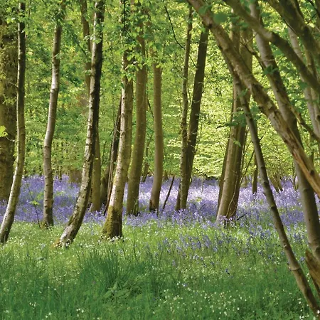 Lovely Home In Quiestede With Sauna Semesterbostad *